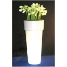 Bac Marcantonio Light avec amaryllis blancs (hauteur 120cm)