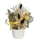 Fleurs séchées vase blanc (hauteur 15cm)