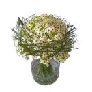 Bouquet Ornithogalum (40x30cm)