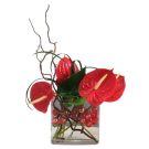 Bouquet Anthurium rouge (hauteur 40 à 50cm)