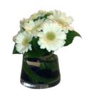 Centre de Table Gerbera Blanc (diam 20 cm)